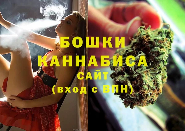 прущие грибы Киселёвск