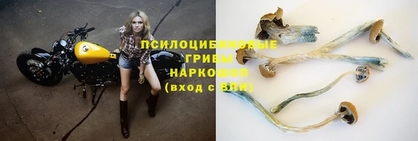 хмурый Покров