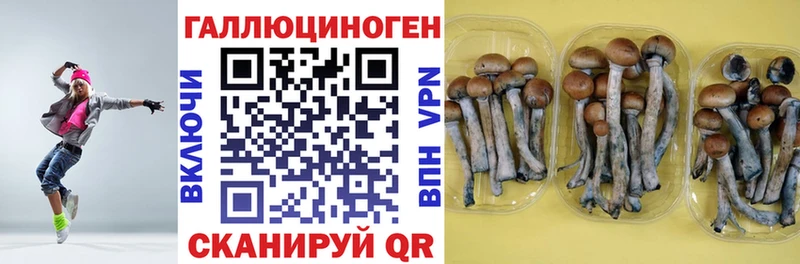 Галлюциногенные грибы ЛСД Осинники